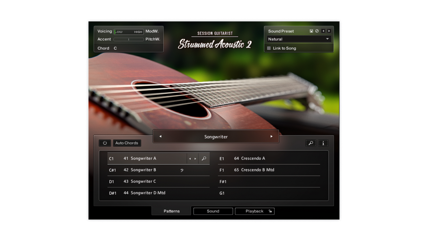 SESSION GUITARIST STRUMMED ACOUSTIC 2