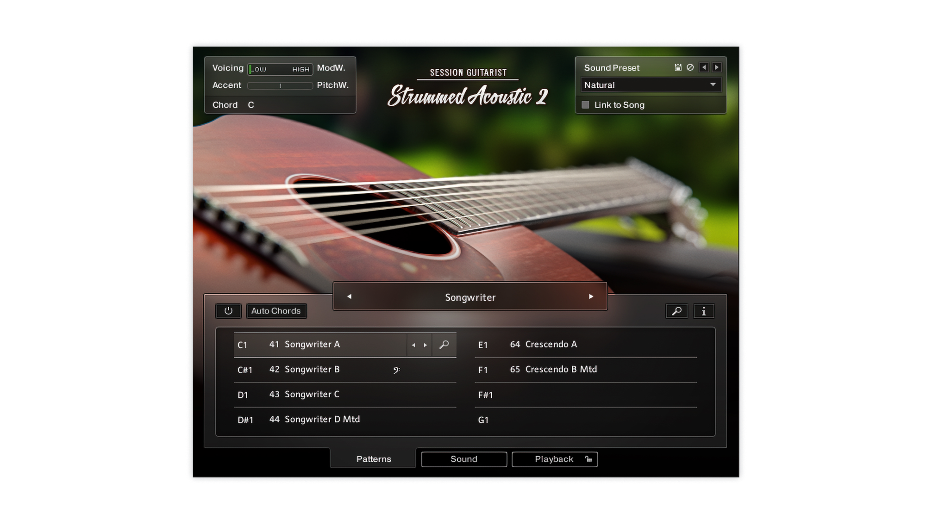 SESSION GUITARIST STRUMMED ACOUSTIC 2