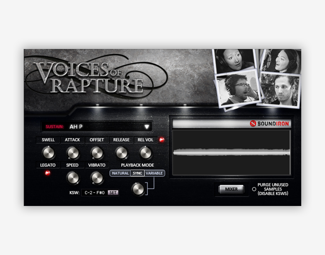 14. Voices of Rapture