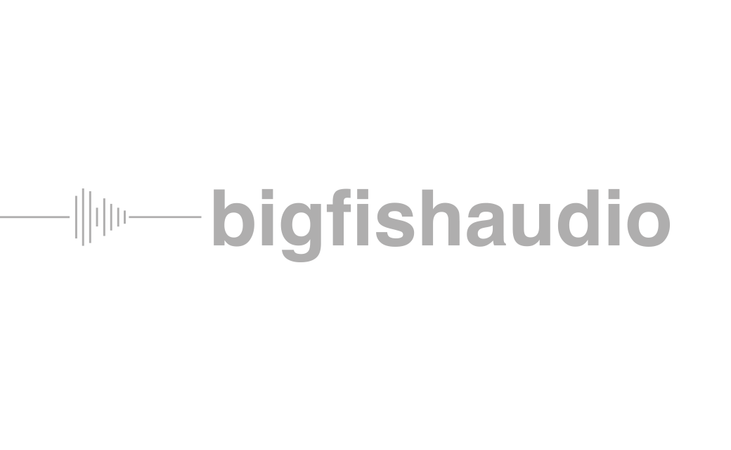 Big Fish Audio
