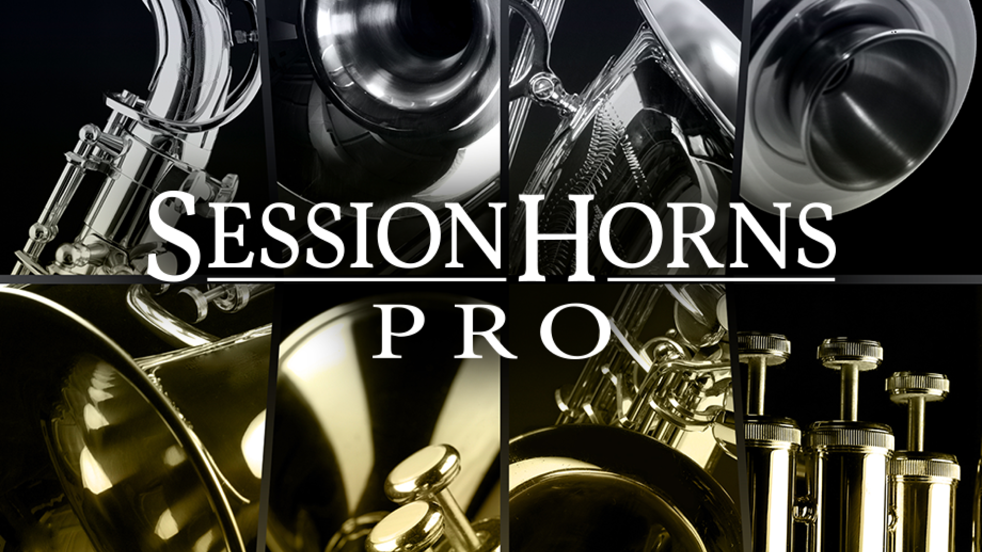 SESSION HORNS PRO