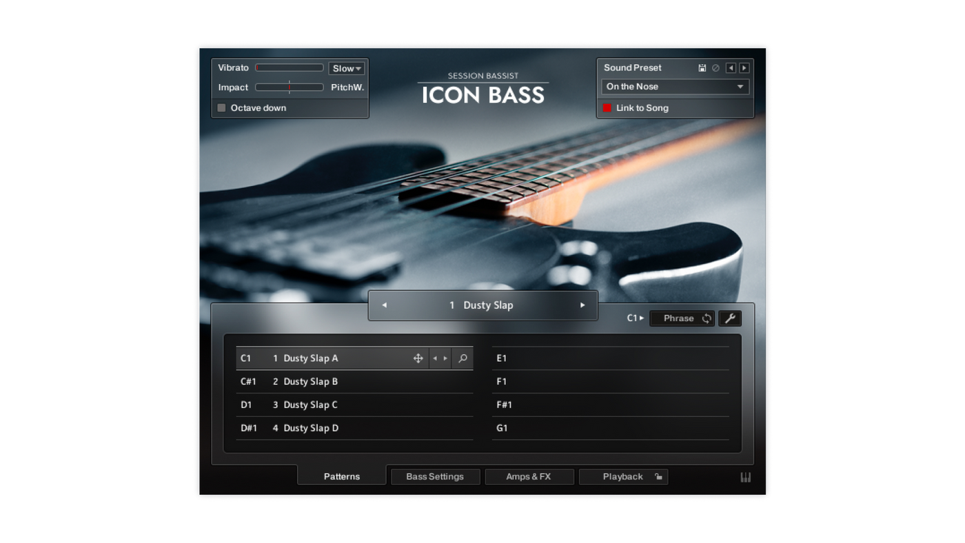 SESSION BASSIST - ICON BASS