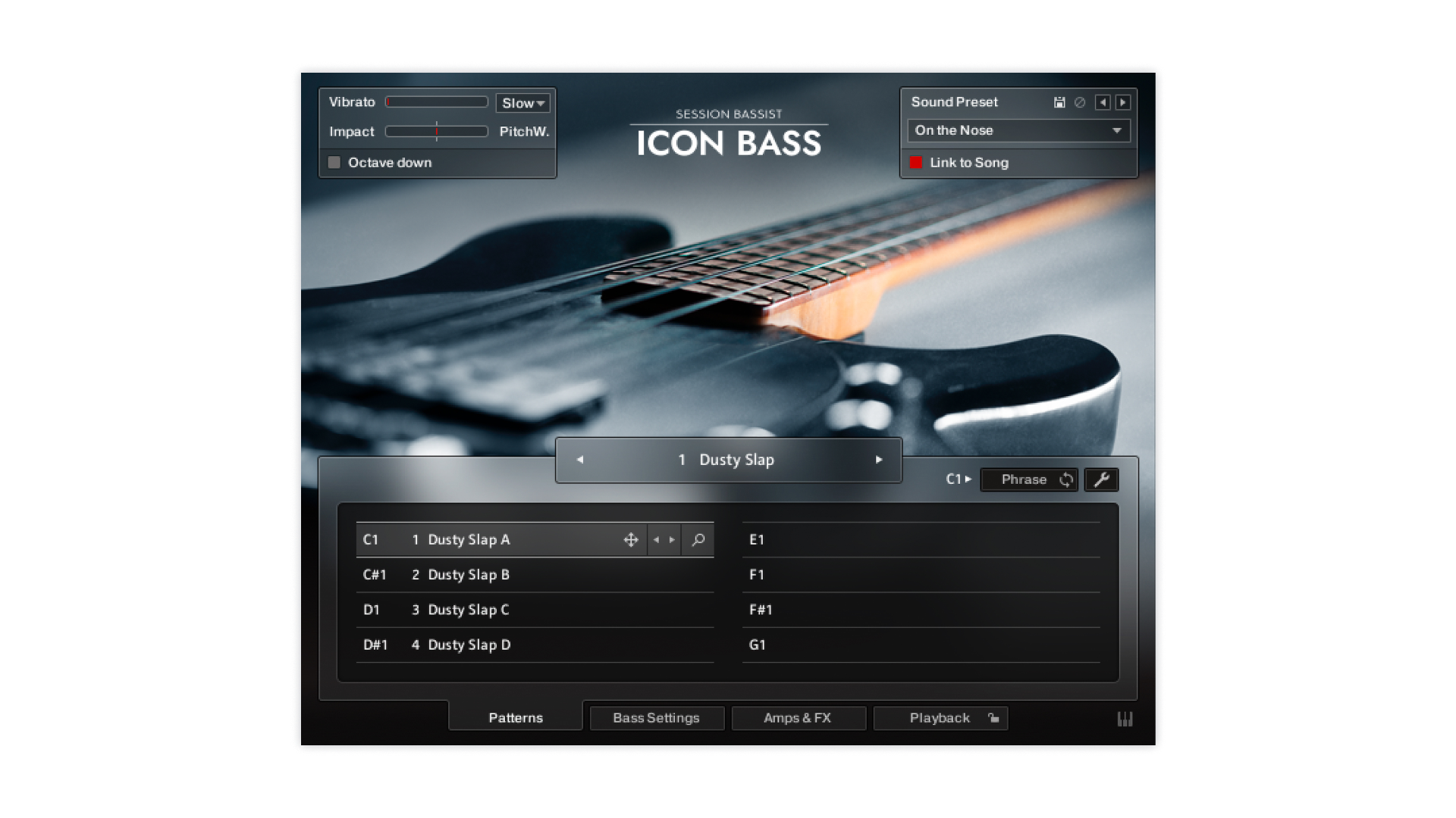 SESSION BASSIST - ICON BASS