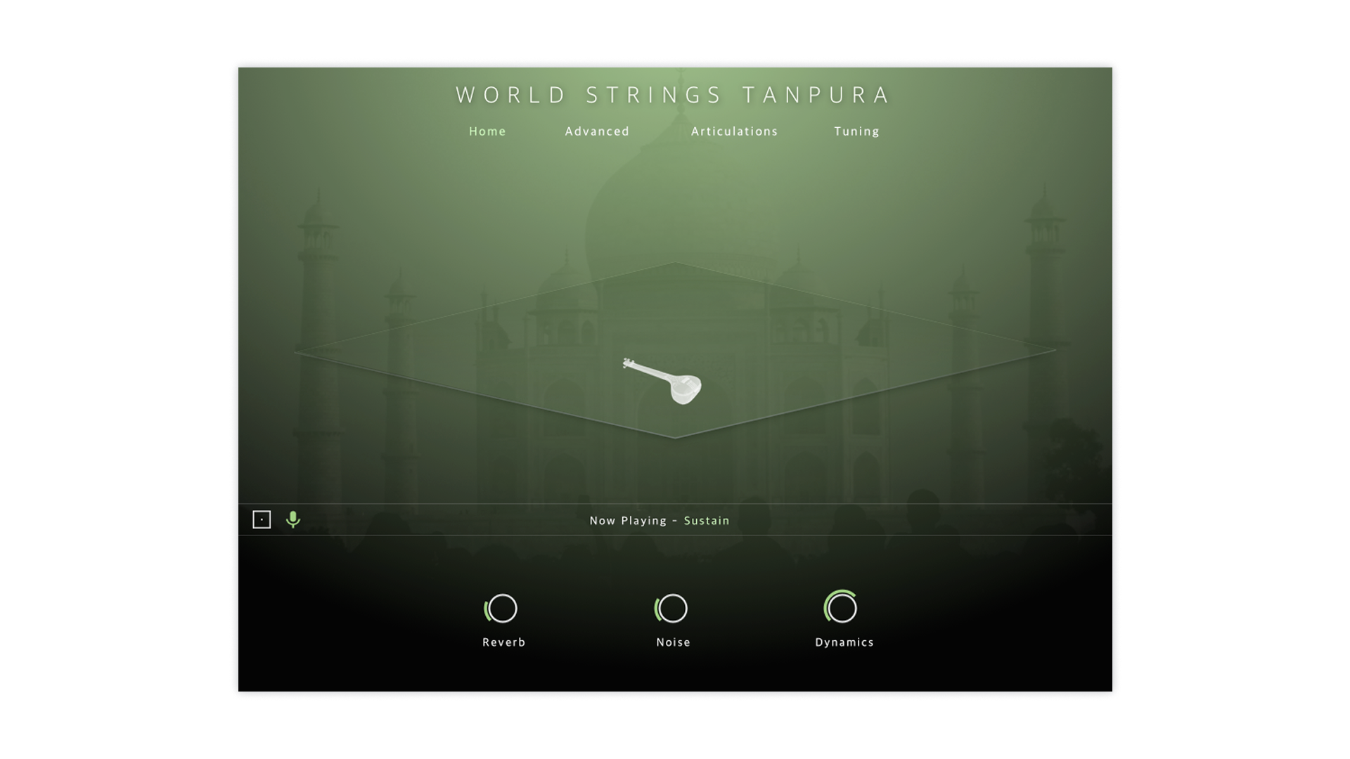 WORLD STRINGS TANPURA