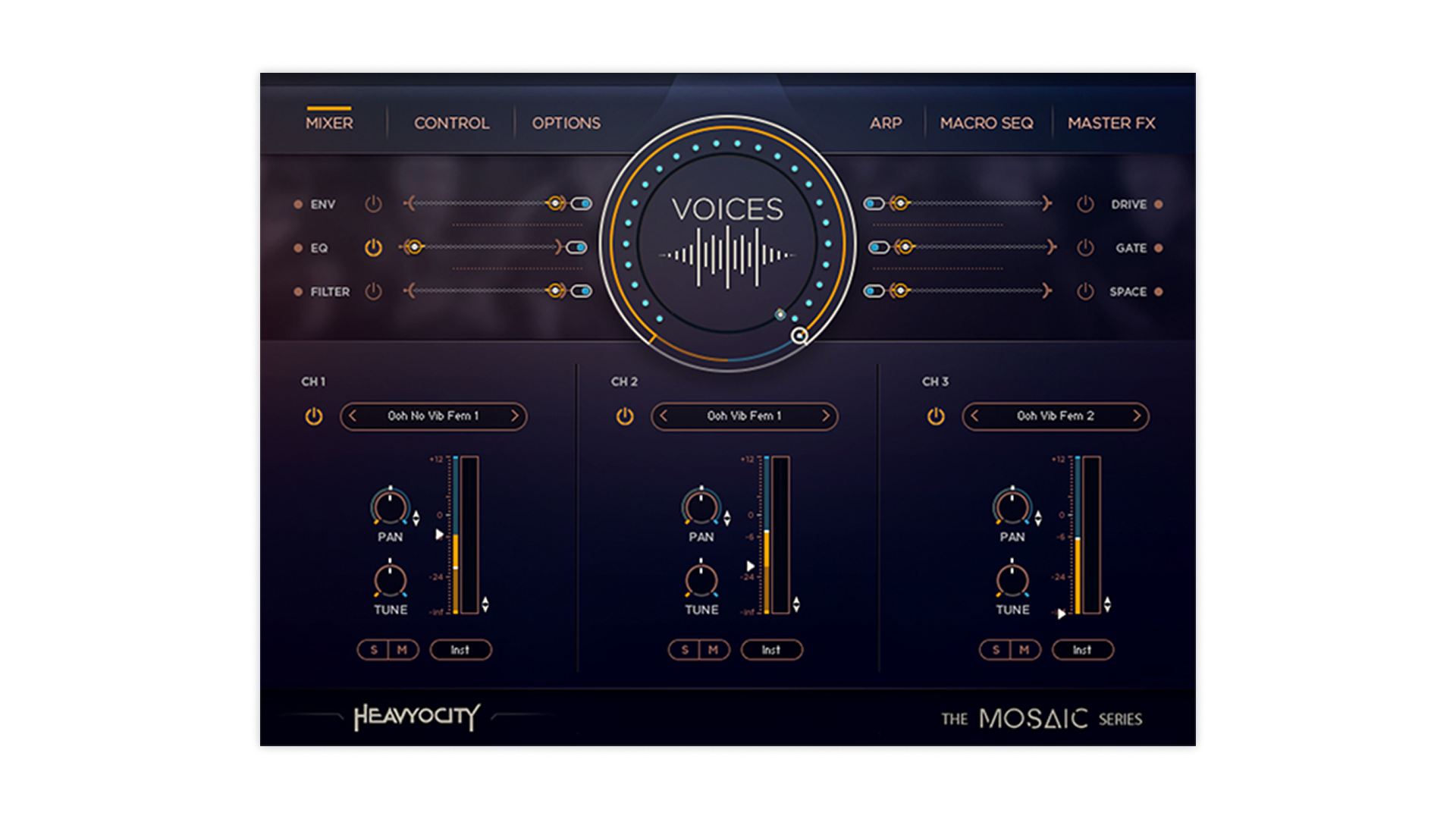 MOSAIC VOICES