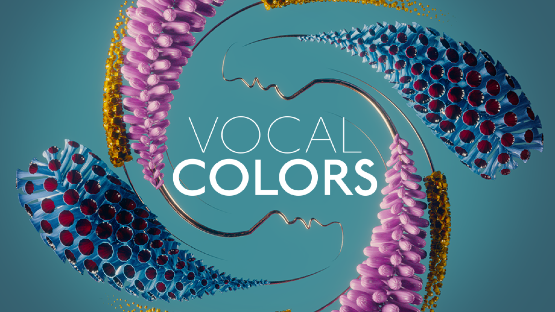 VOCAL COLORS