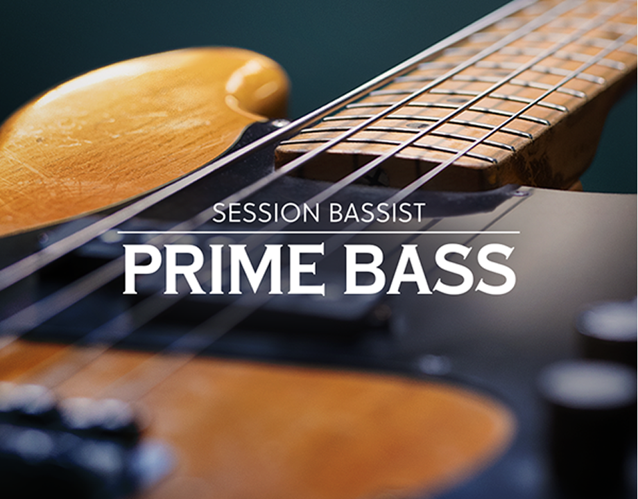 Session Bassist – Prime Bass