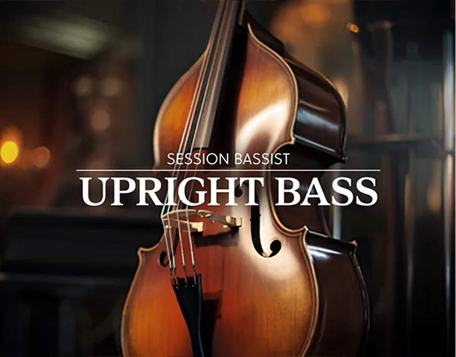 Session Bassist – Upright Bass