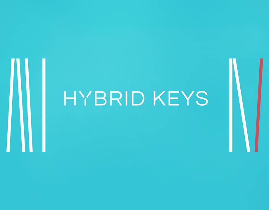 Hybrid Keys