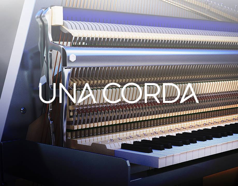 Una Corda