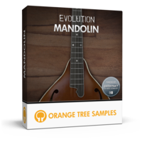 Evolution Mandolin