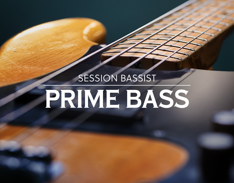 Misuse Wonder busy Guitar : Session Bassist — Prime Bass | Komplete