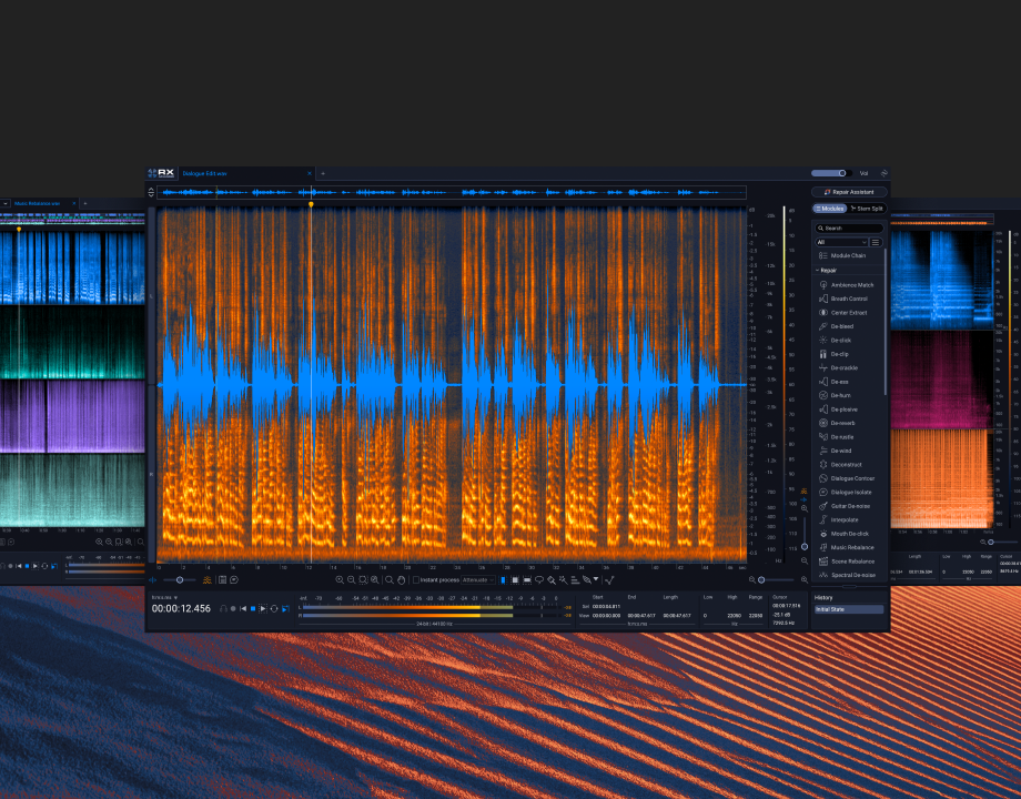 RX 12 Advanced | Award-winning audio restoration software