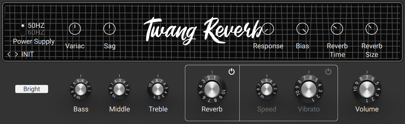GR6_Components_Amplifiers_Twang_Reverb.png