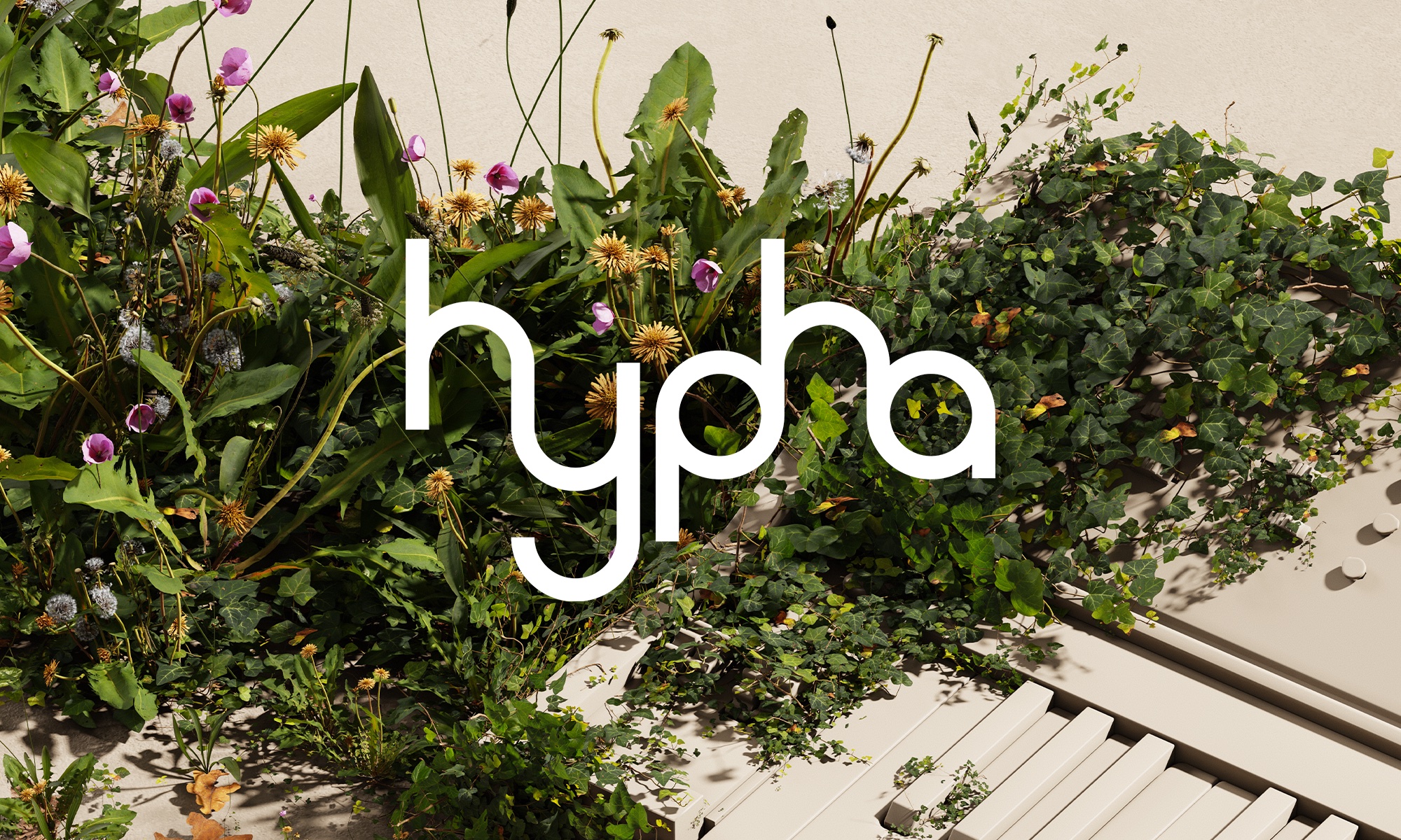 Hypha-manual-web-cover.jpg