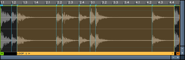 The Waveform View displaying the waveform of a given sample.