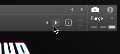 The left and right arrow buttons to quickly load the next or previous snapshot.