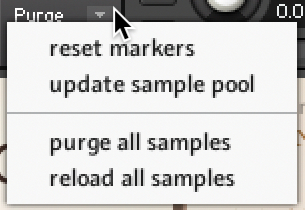 The expanded purge menu of Kontakt Player.
