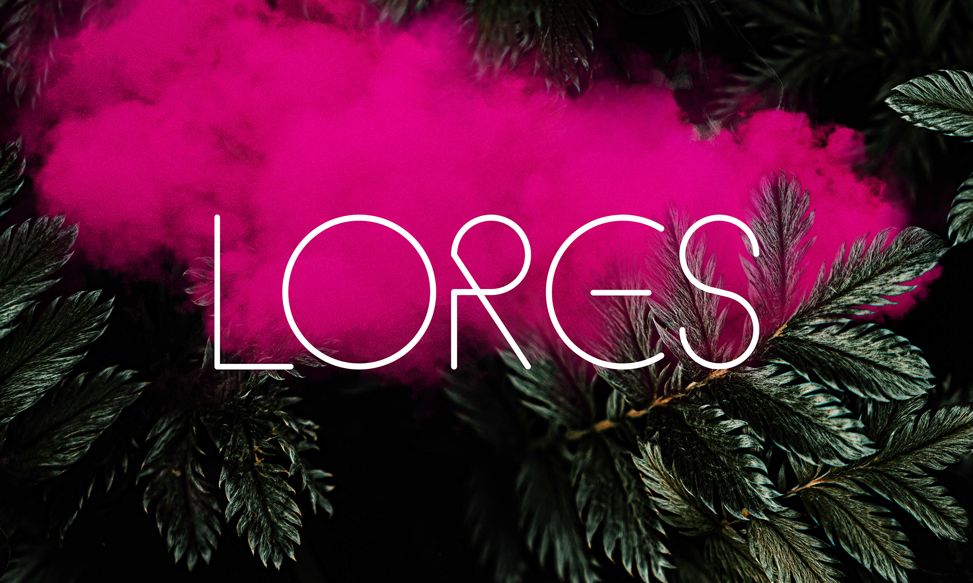 Lores-manual-web-cover.png