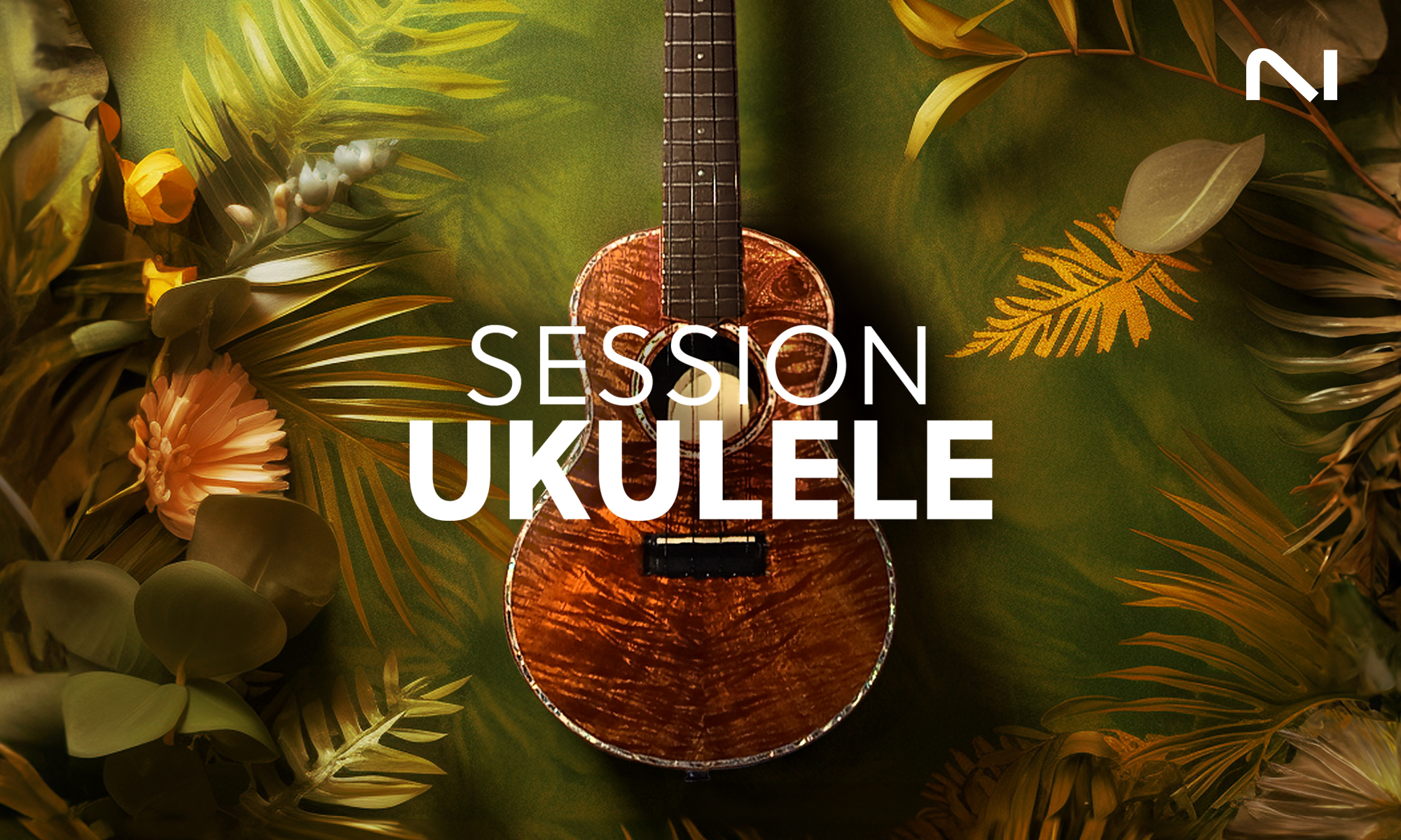 Session-Ukulele-manual-cover-2000x1200px.jpeg