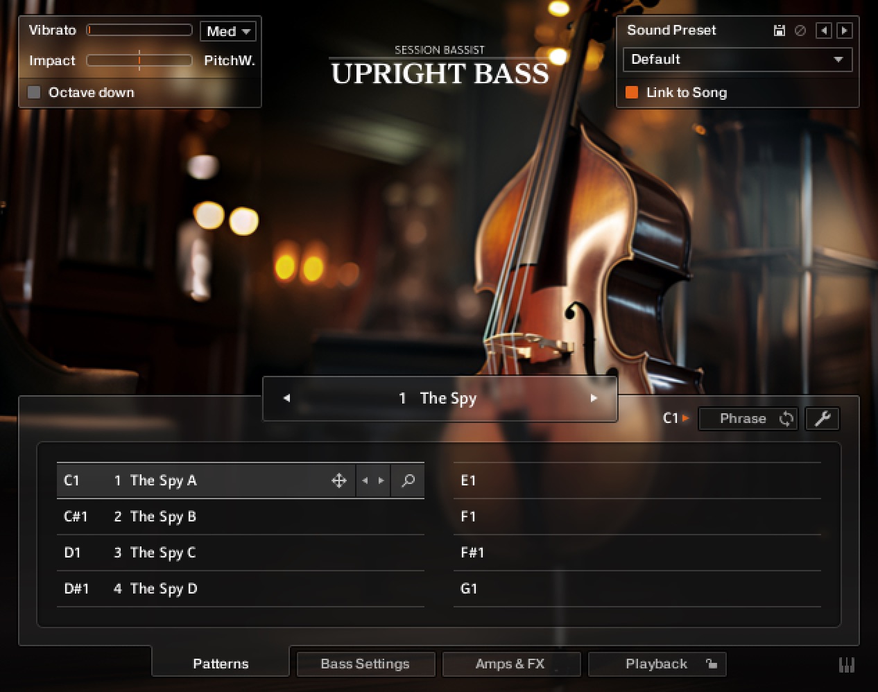 Upright_Bass_25_Welcome.jpg