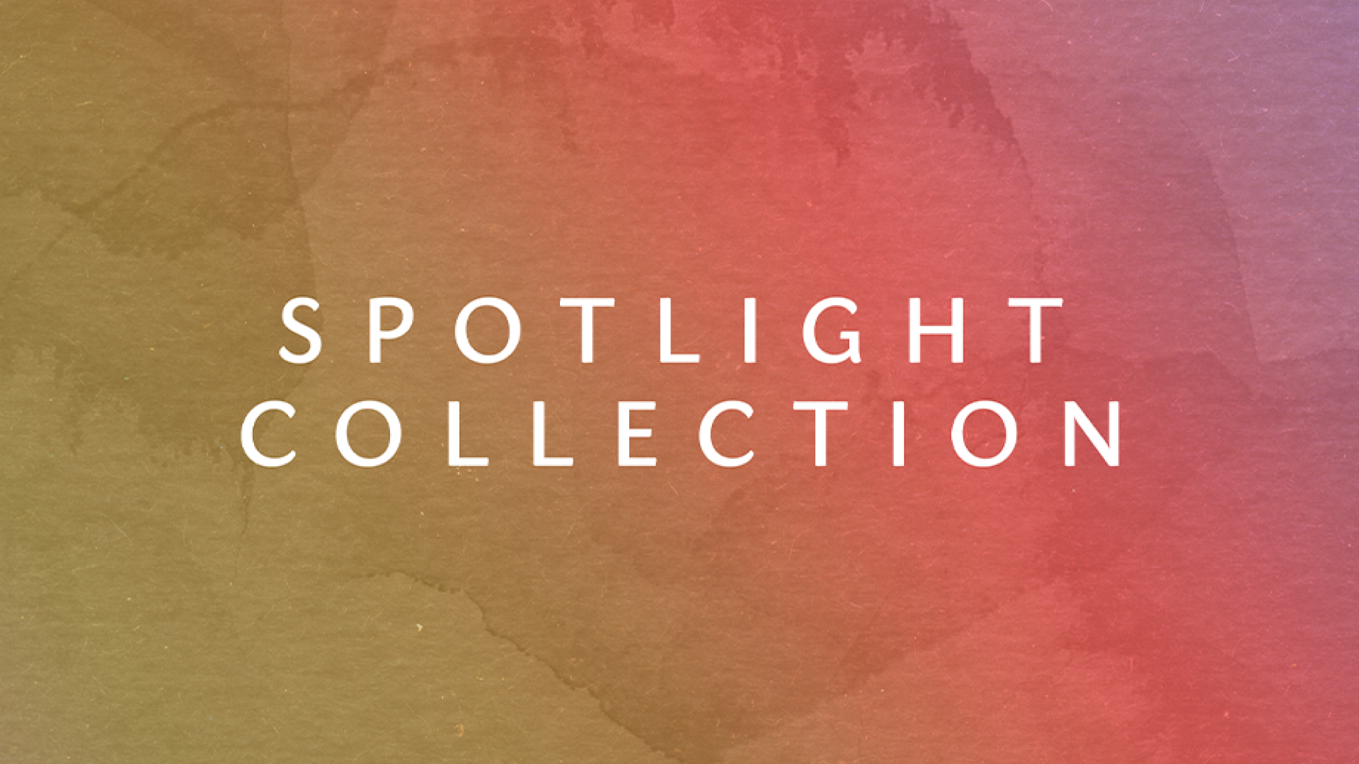 spotlight-collection-featured-image.png