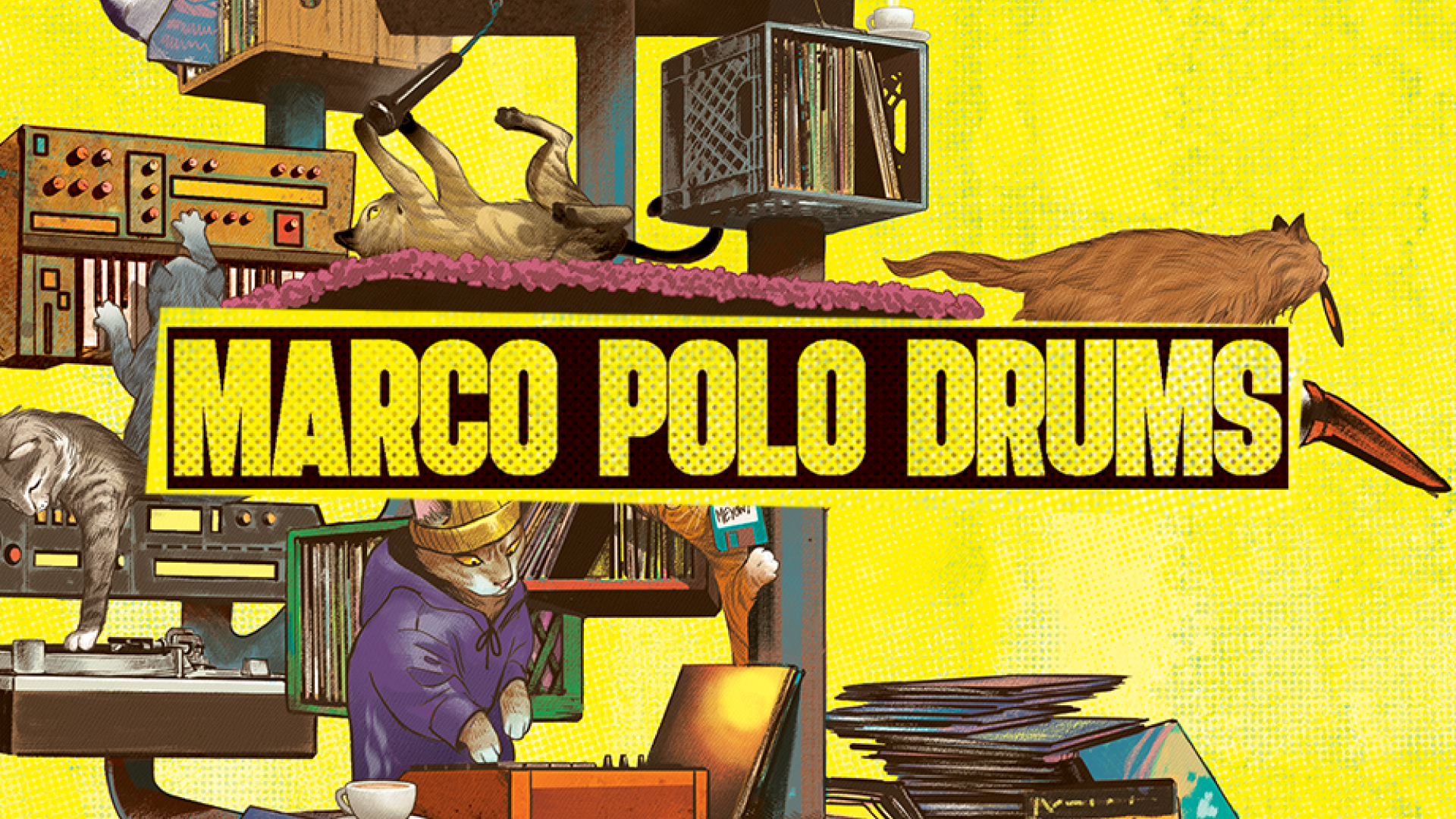 Marco-Polo-Drums-featured-image.png