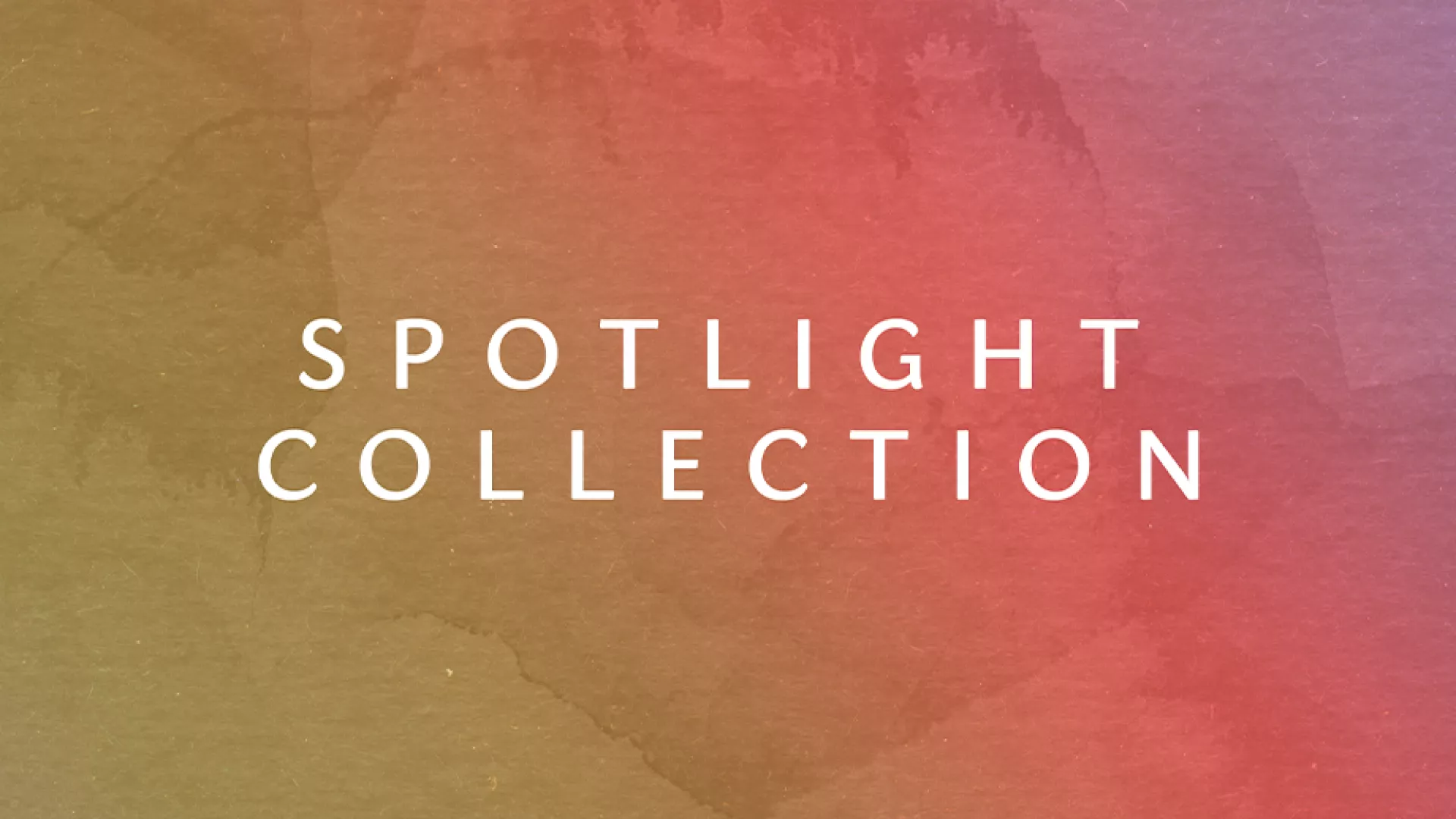 SPOTLIGHT COLLECTION