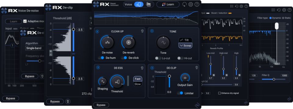 RX 12 Elements | Essential audio restoration software