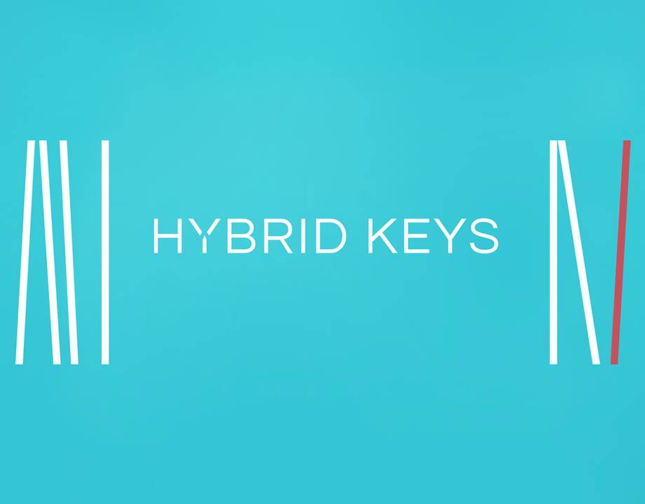 HYBRID KEYS product image
