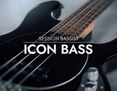 img-packshot-session-bassist-icon-bass-product-finder-d716a75bd753a4df3629036ac5c69065-d.jpg