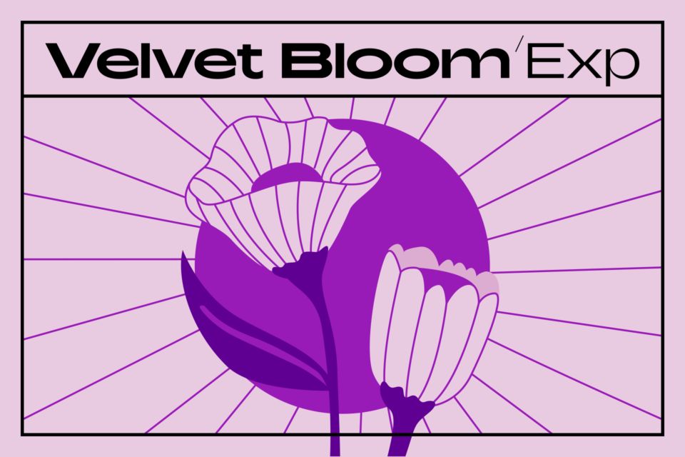 Velvet Bloom – essential soulful R&B sounds